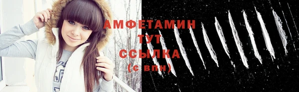 прущие грибы Баксан