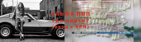 стаф Аркадак