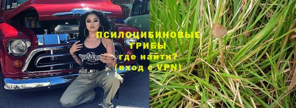 стаф Аркадак