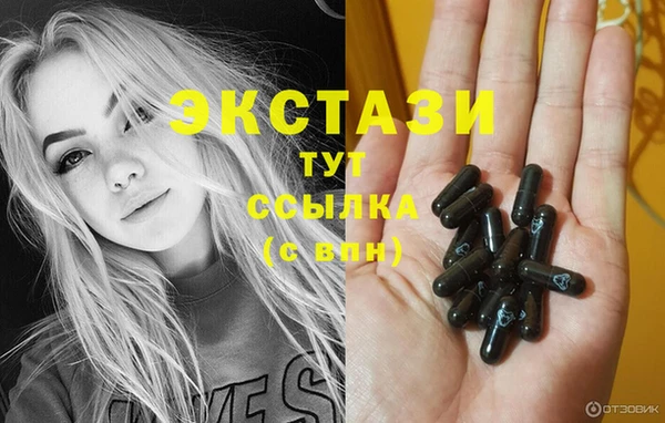 стаф Аркадак
