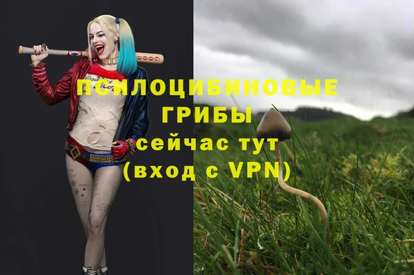 2c-b Армянск