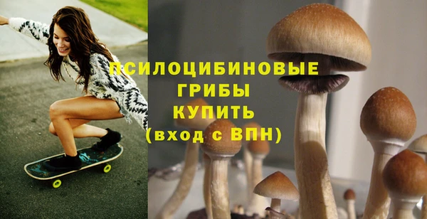 прущие грибы Баксан